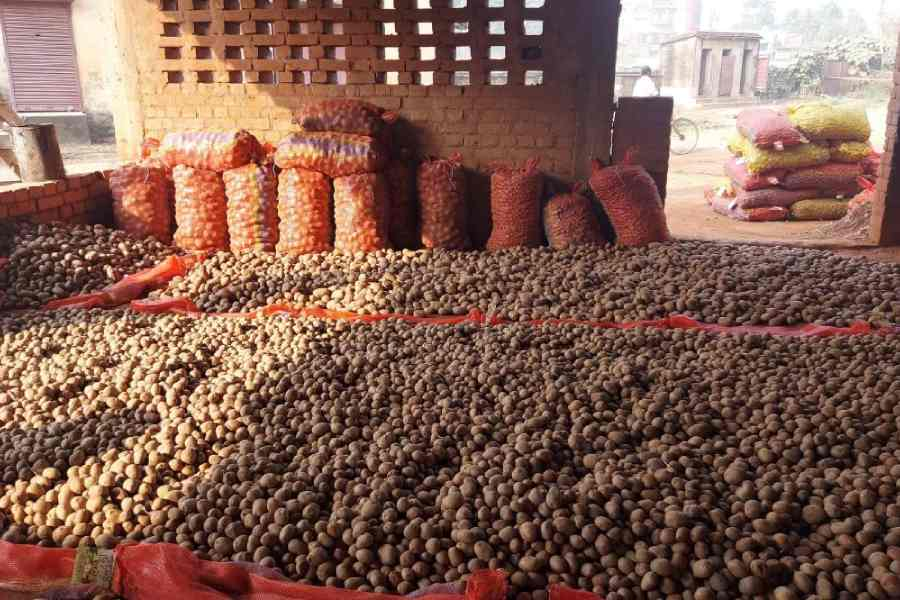 image_2025-12-12_10-35-46