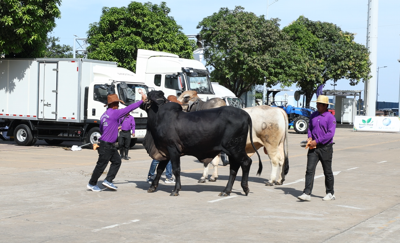 image_2025-12-31_09-03-40