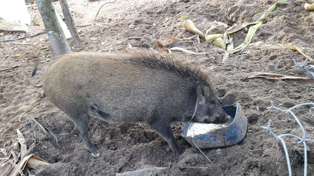 photo_2024-09-18_16-27-04