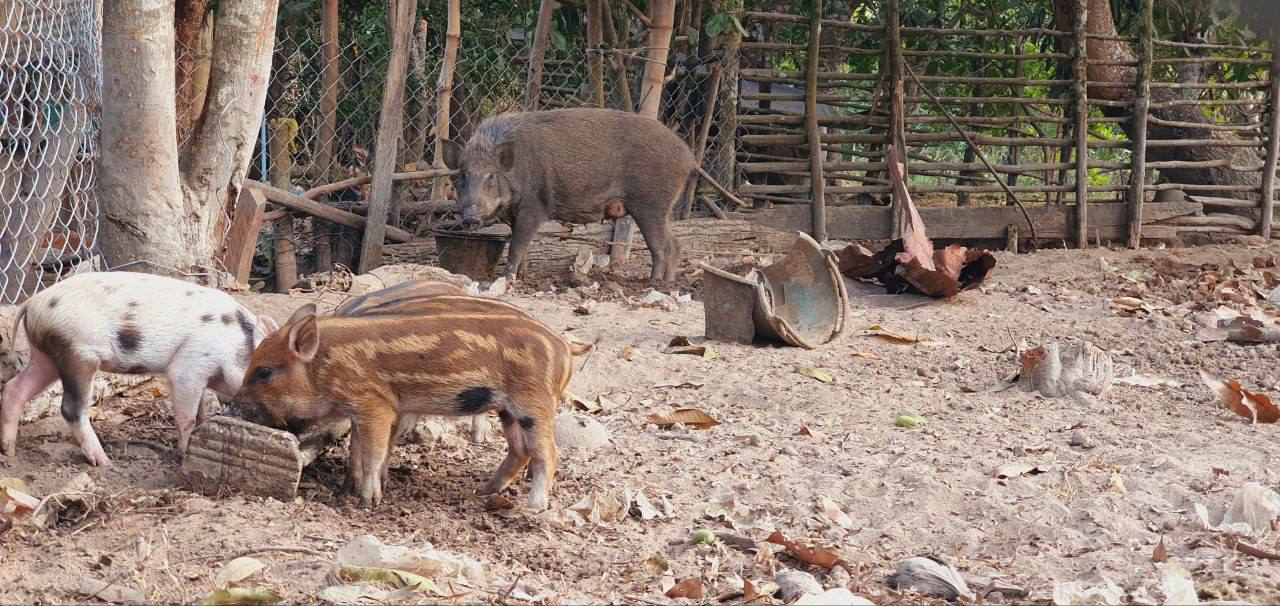 photo_2024-09-18_16-27-07