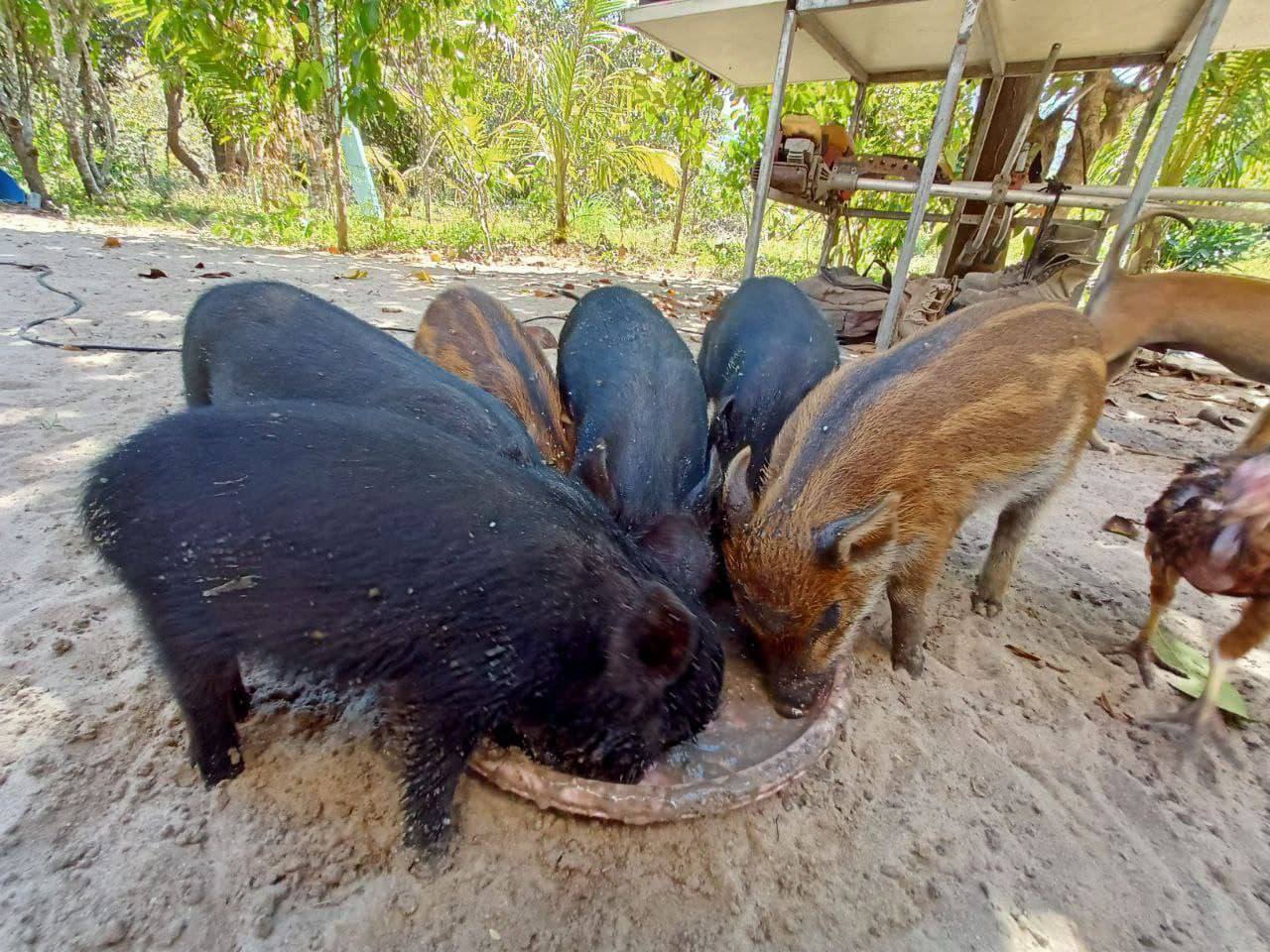 photo_2024-09-18_16-27-10