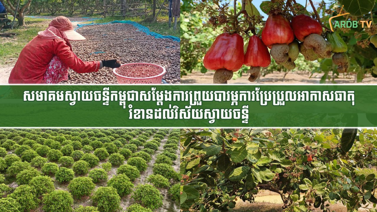 photo_2025-12-04_10-37-22