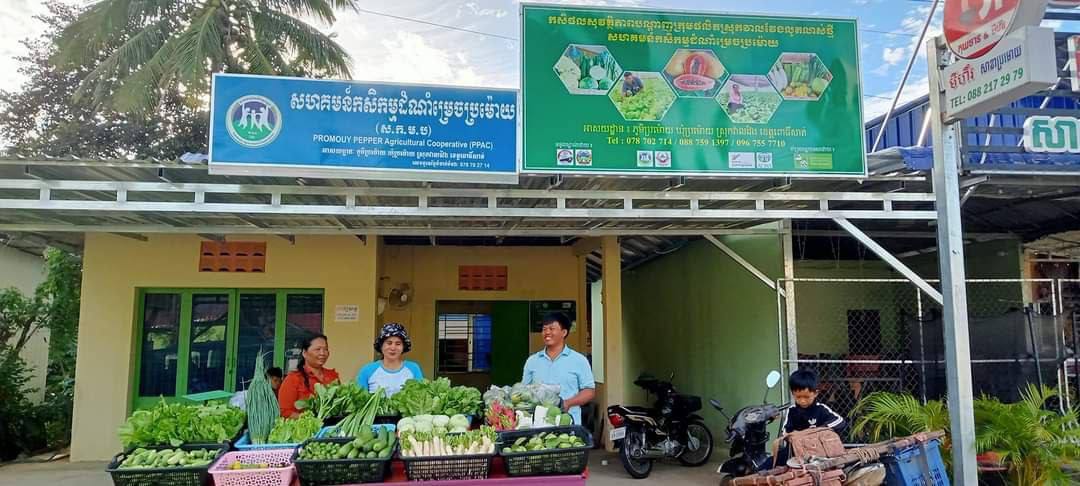 photo_2025-12-31_09-42-39