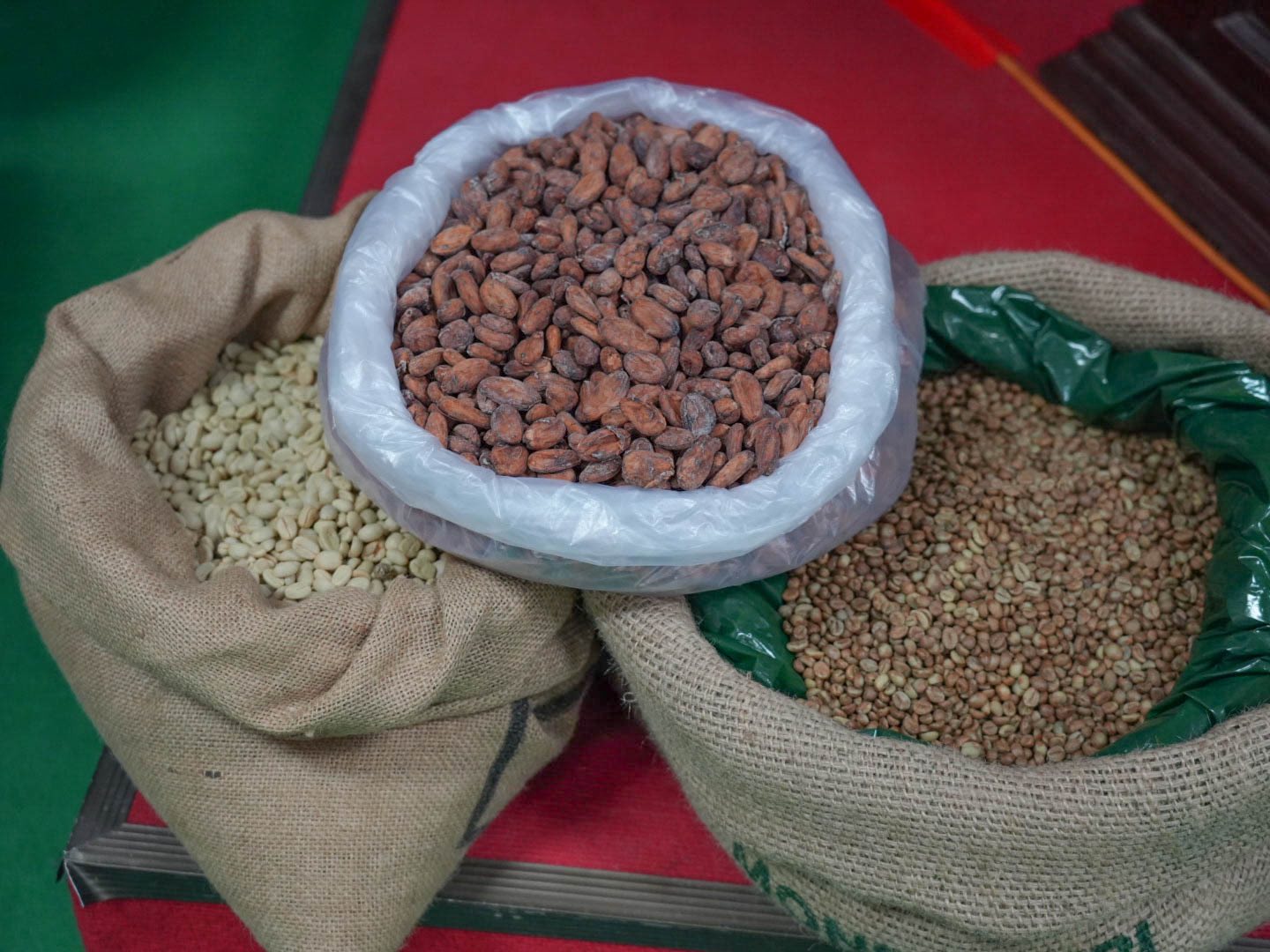 605777559_122153855360904824_5397821866131437087_n