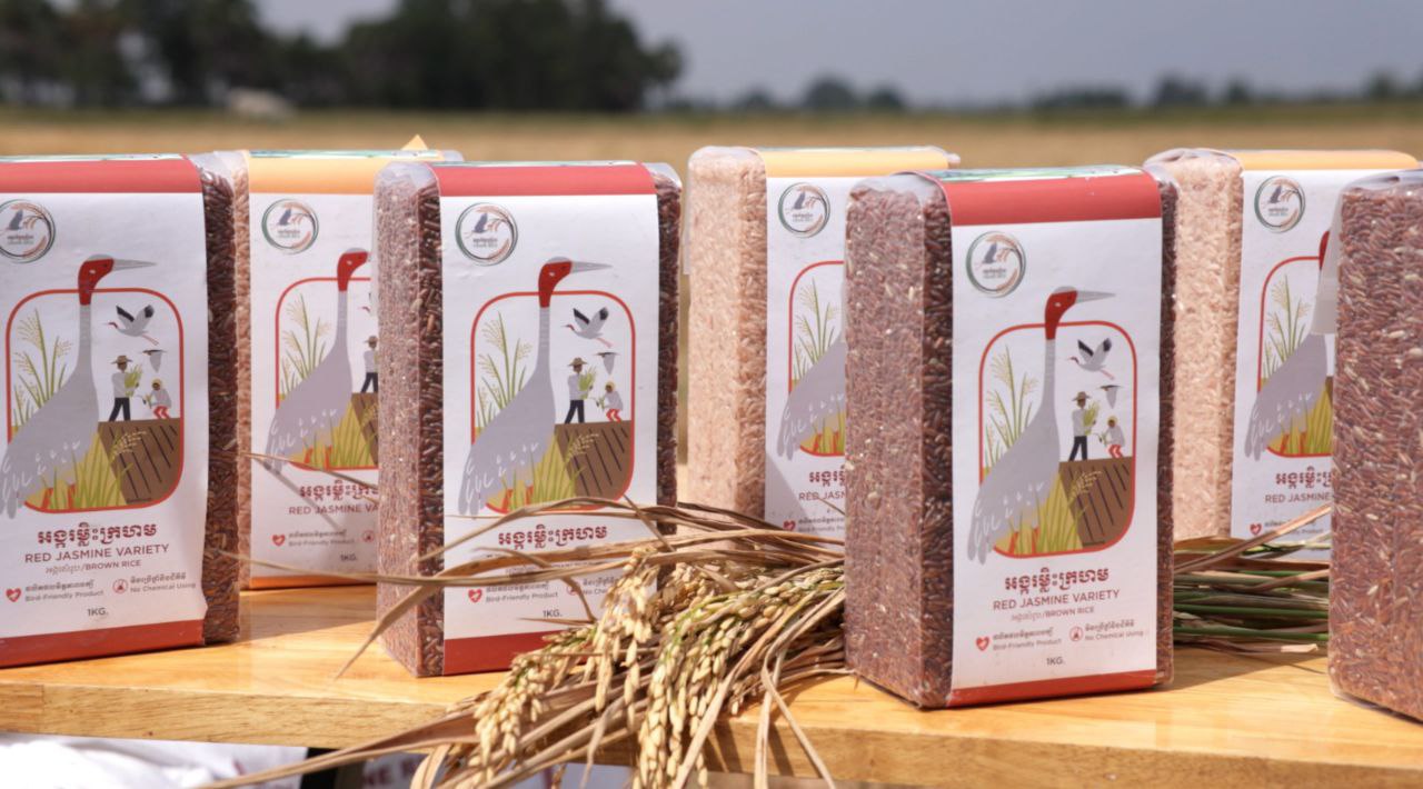 616380035_1341949161296403_1028050424500917689_n