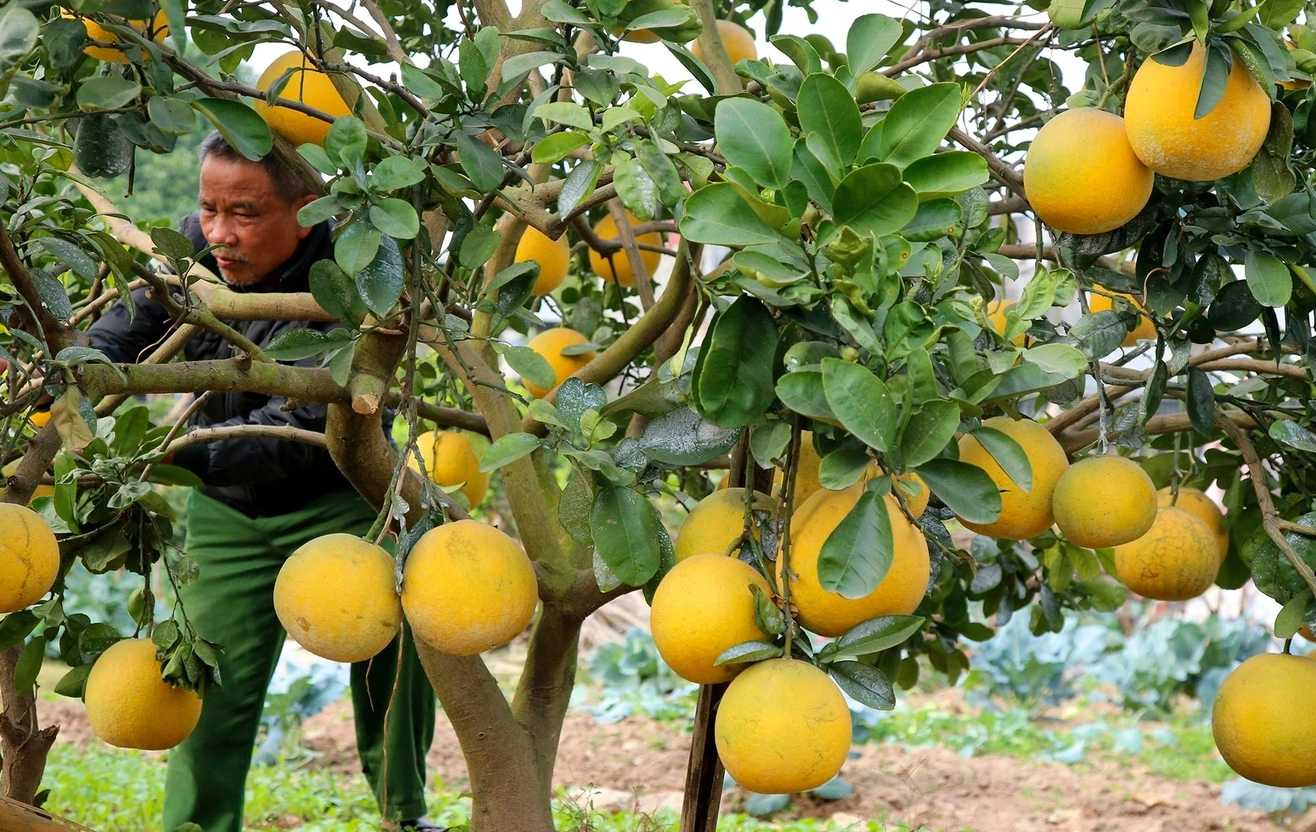 Screenshot 2025-05-30 at 11.20.12_ada1a9e71c