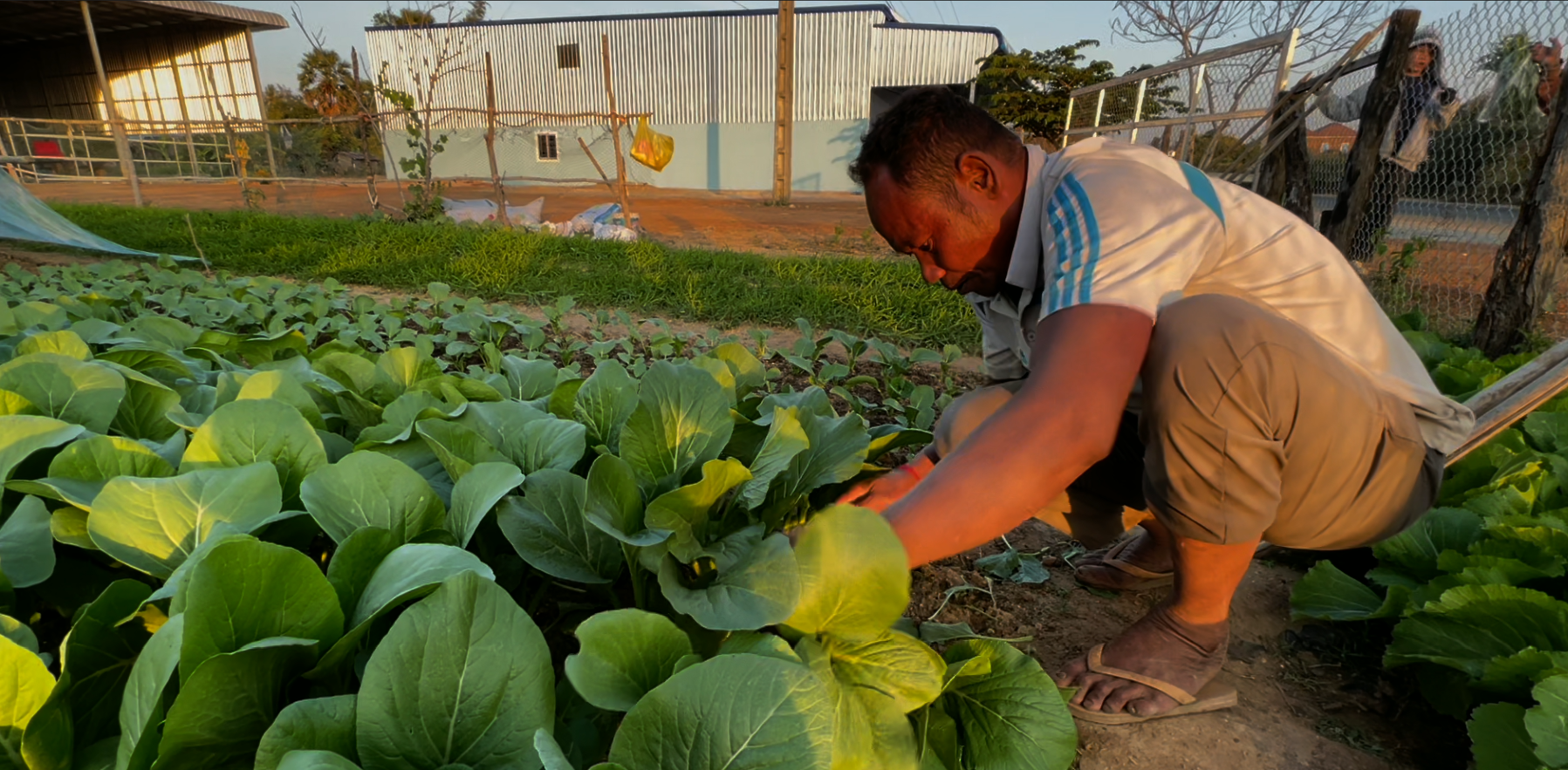 Screenshot 2026-01-16 131948