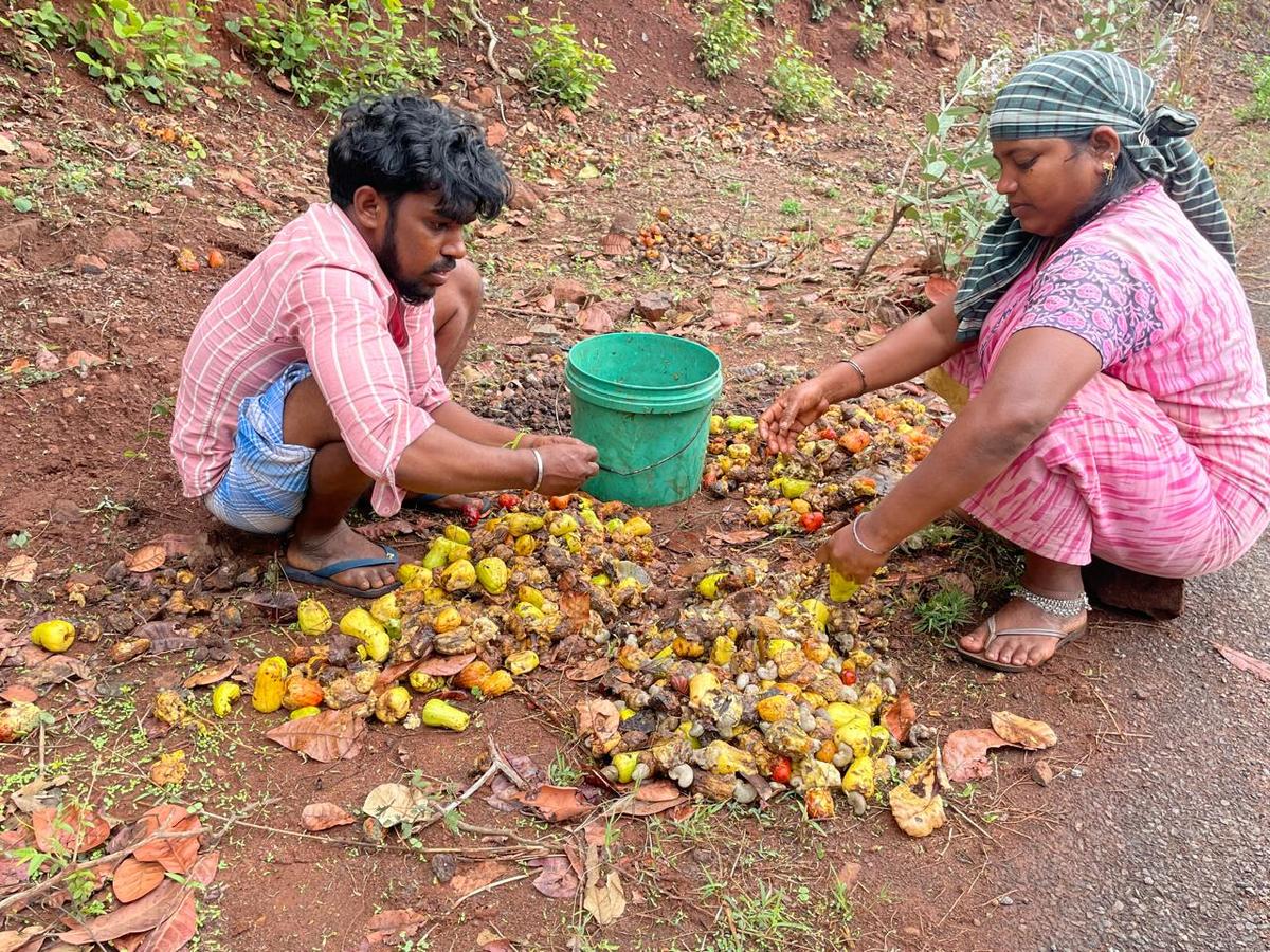 WhatsApp Image 2024-05-18 at 8.15.04 PM