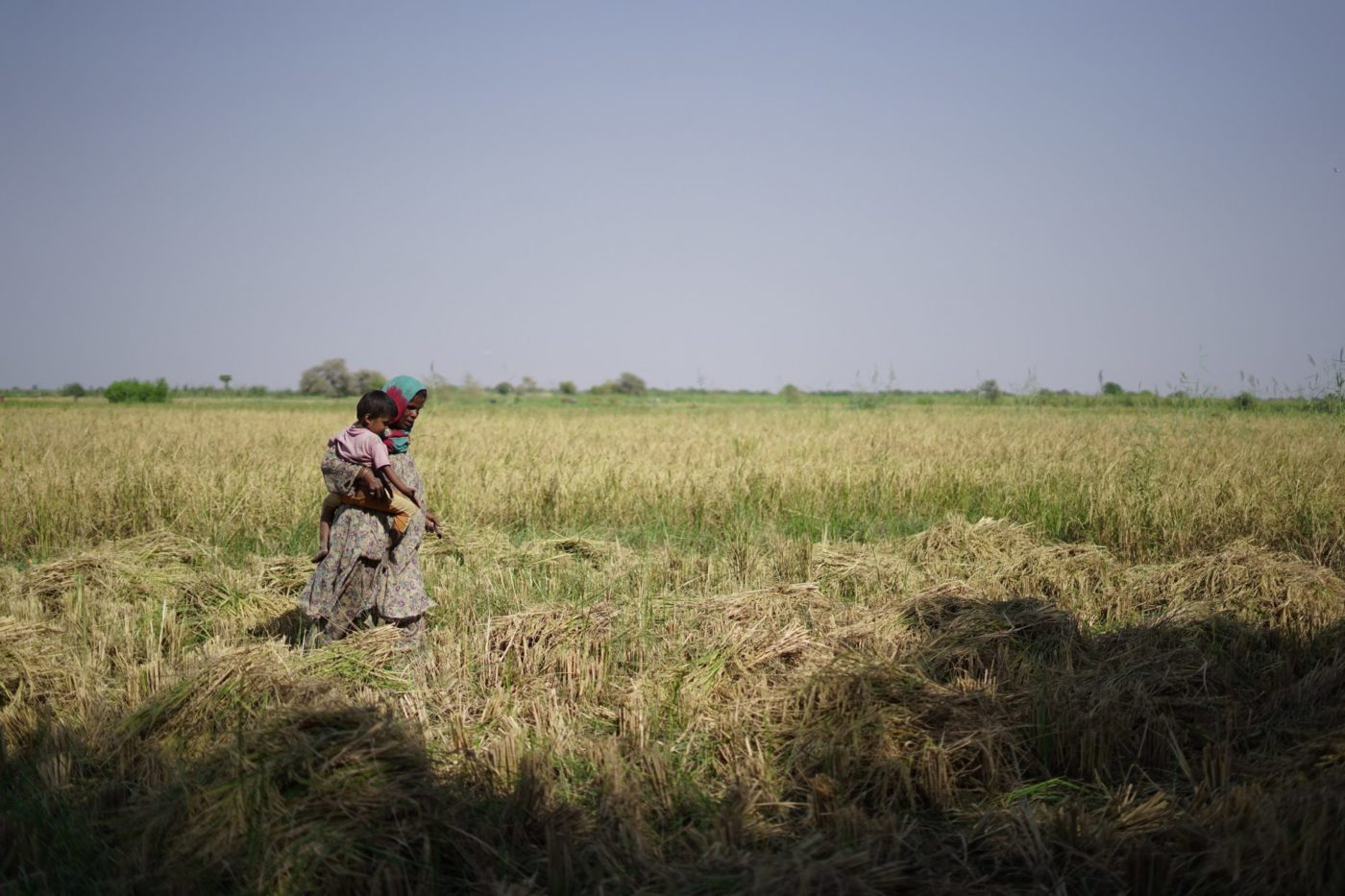 image_2026-01-06_09-26-13