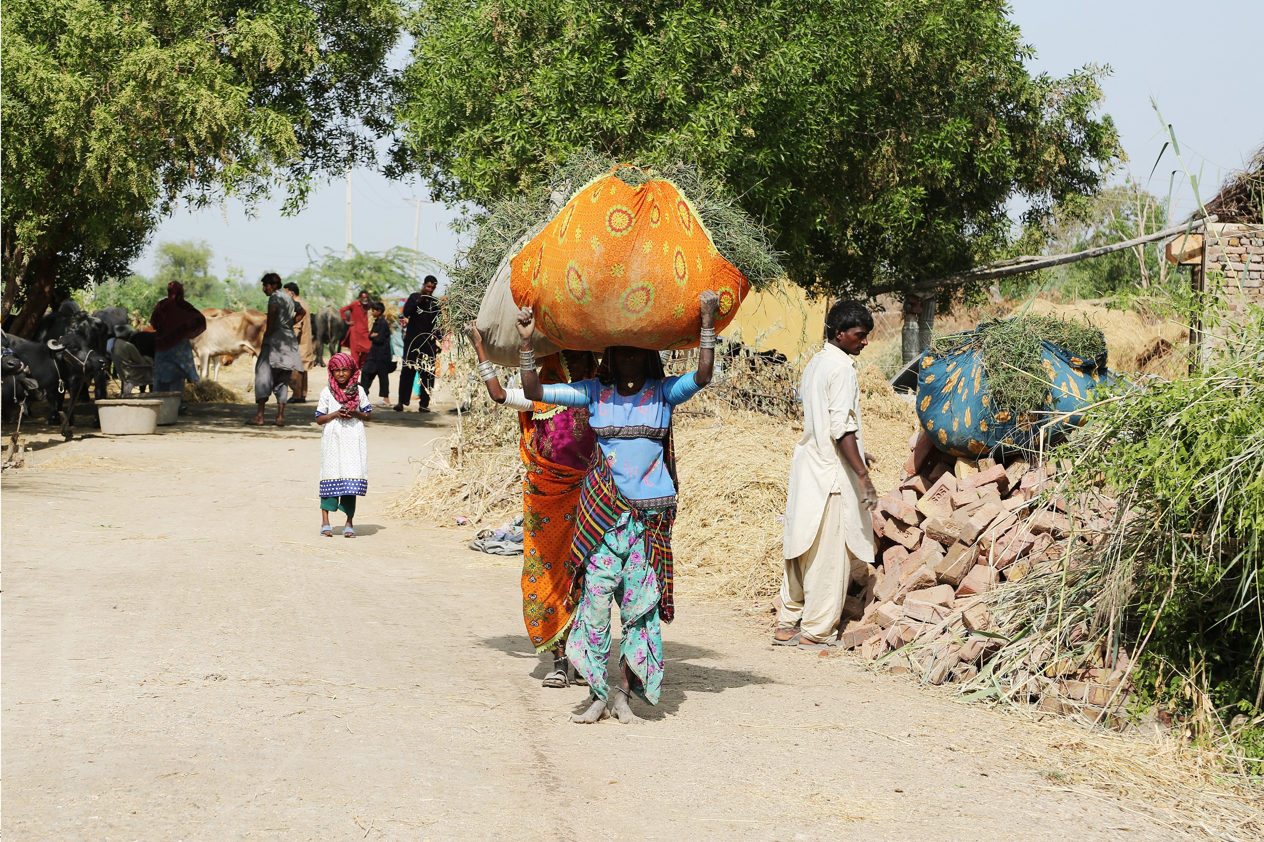 image_2026-01-06_09-27-17