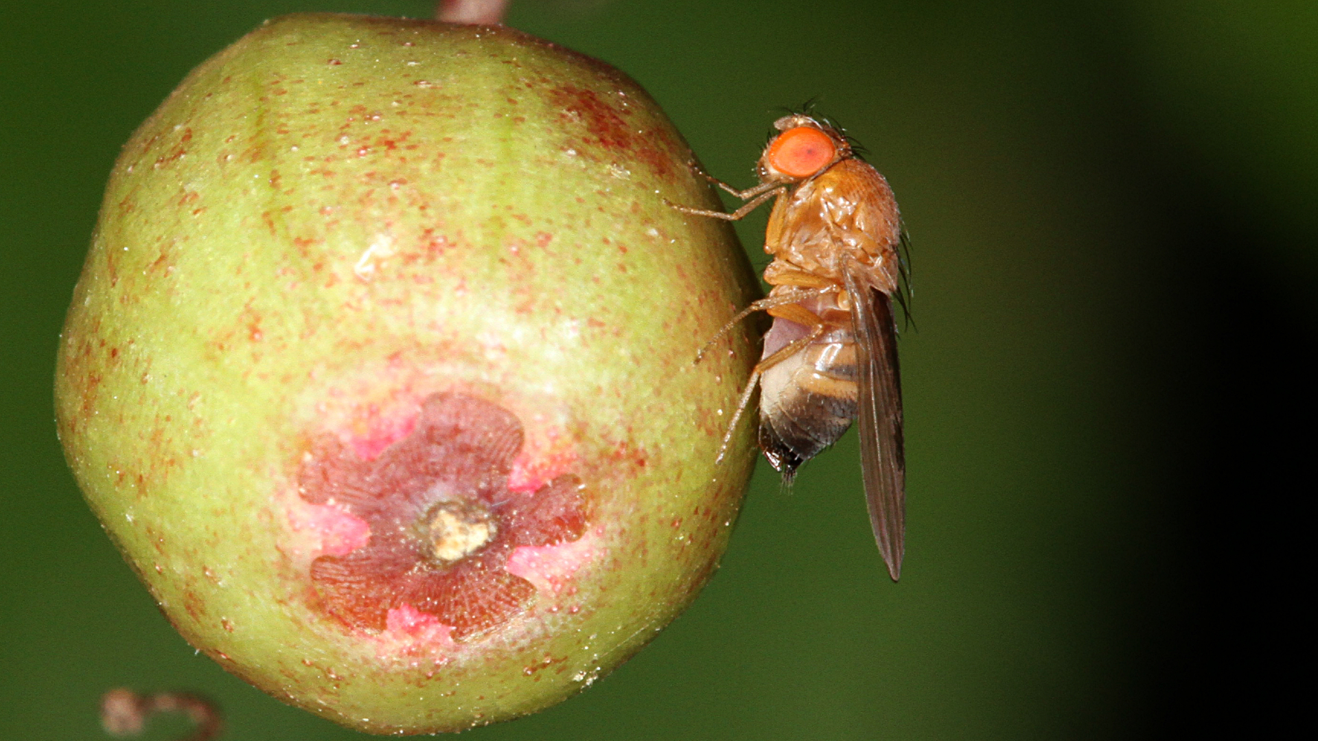 image_2026-01-12_10-03-38