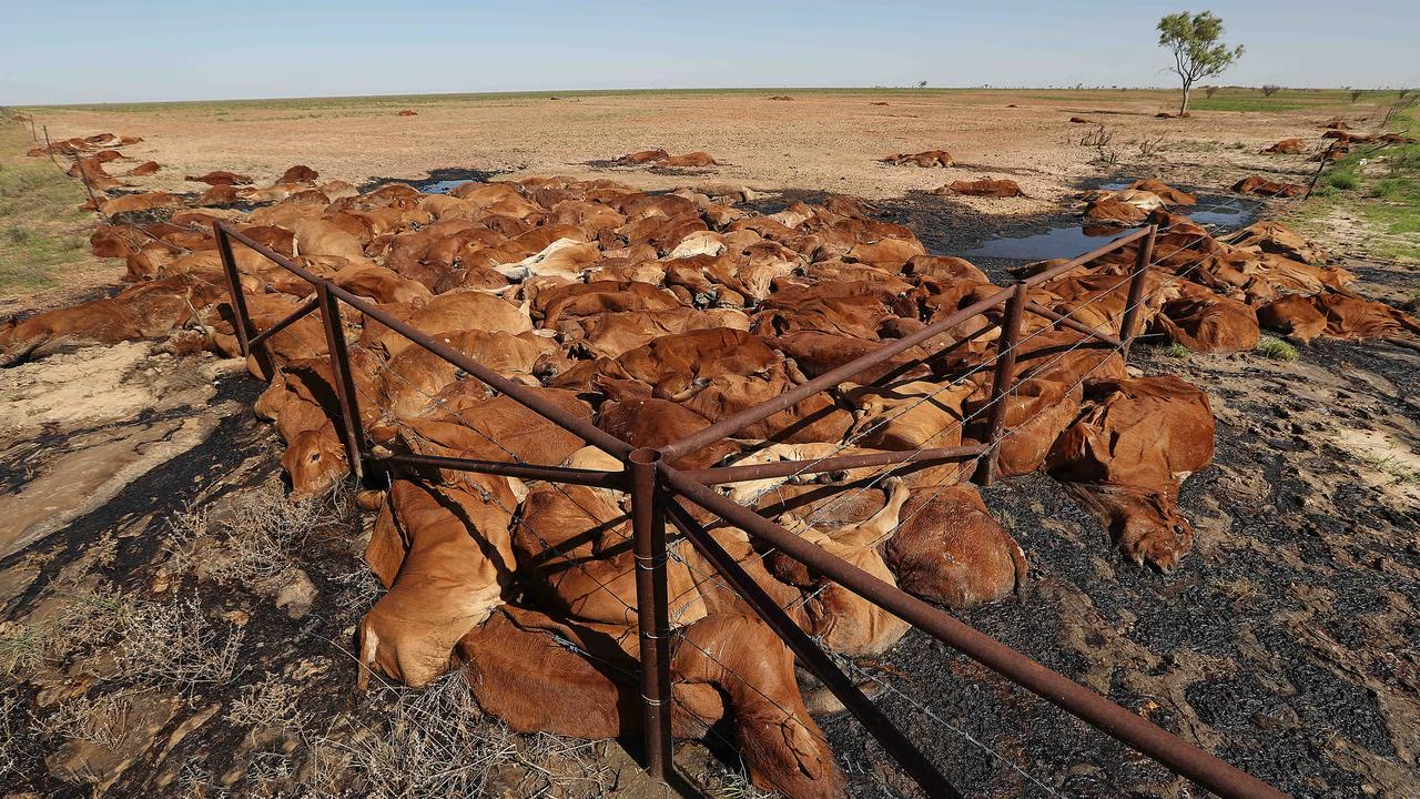 image_2026-01-13_09-05-48