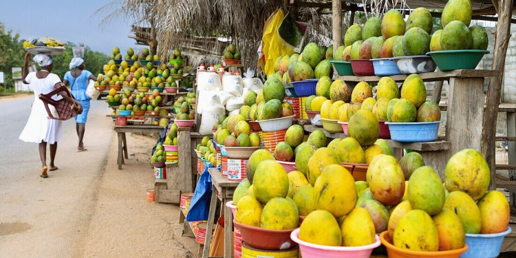 image_2026-01-16_08-35-49