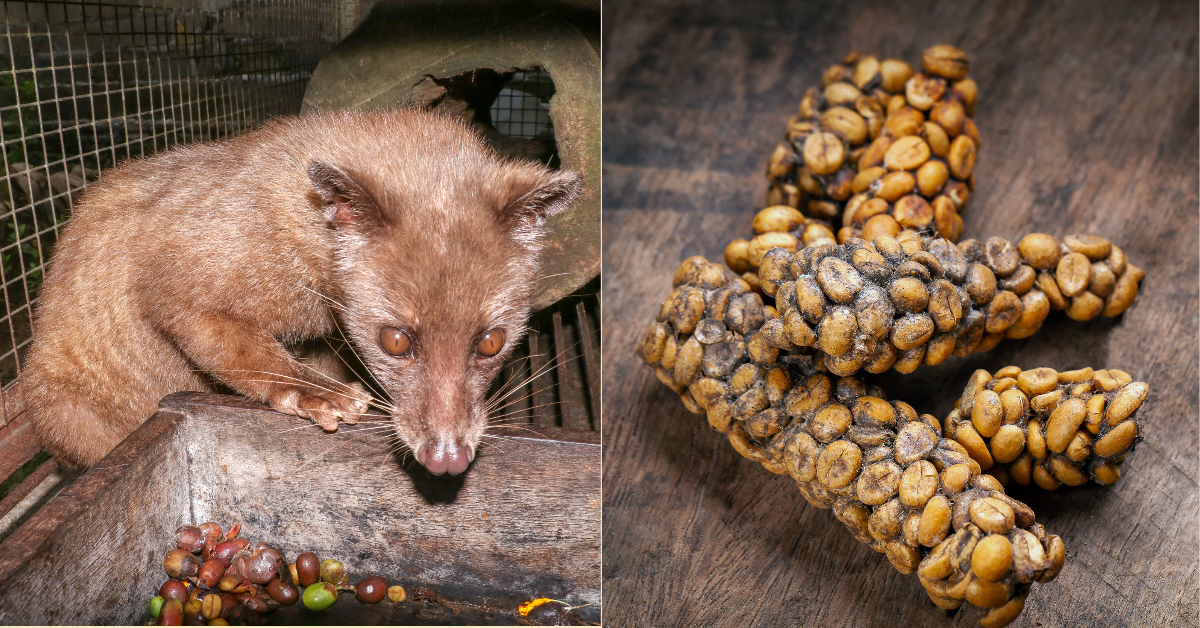 image_2026-01-22_08-17-11