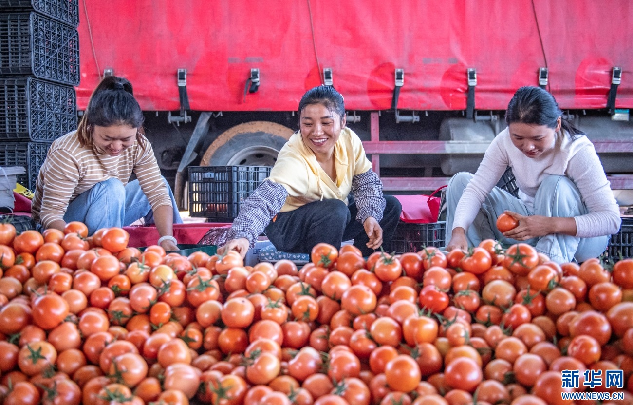 image_2026-01-22_13-25-37