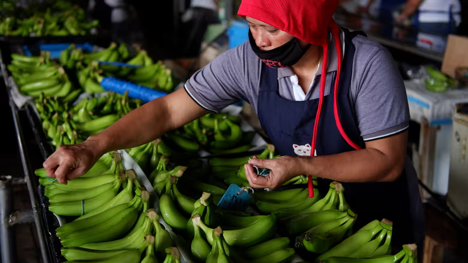 image_2026-01-22_13-37-24