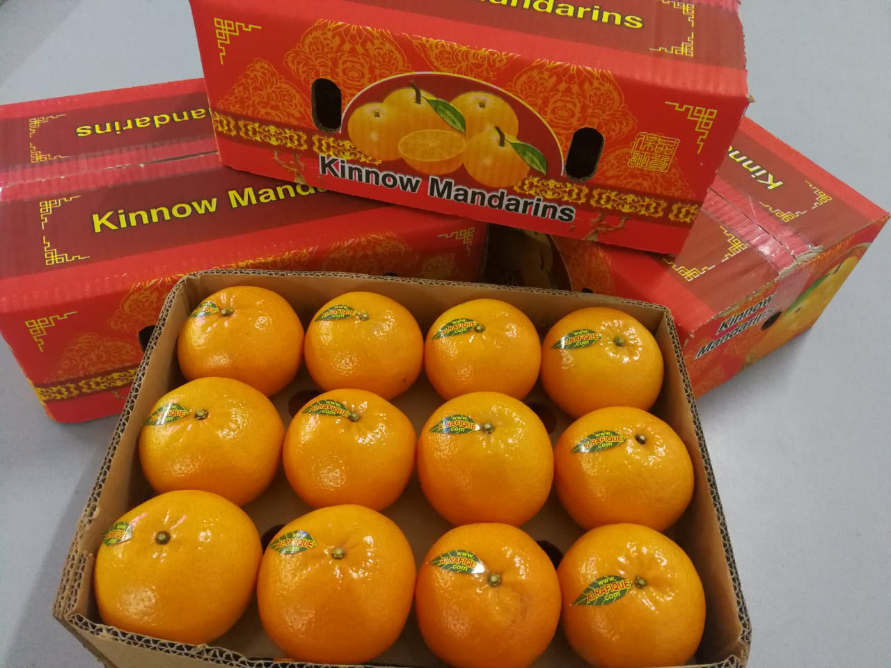 image_2026-01-26_09-16-40