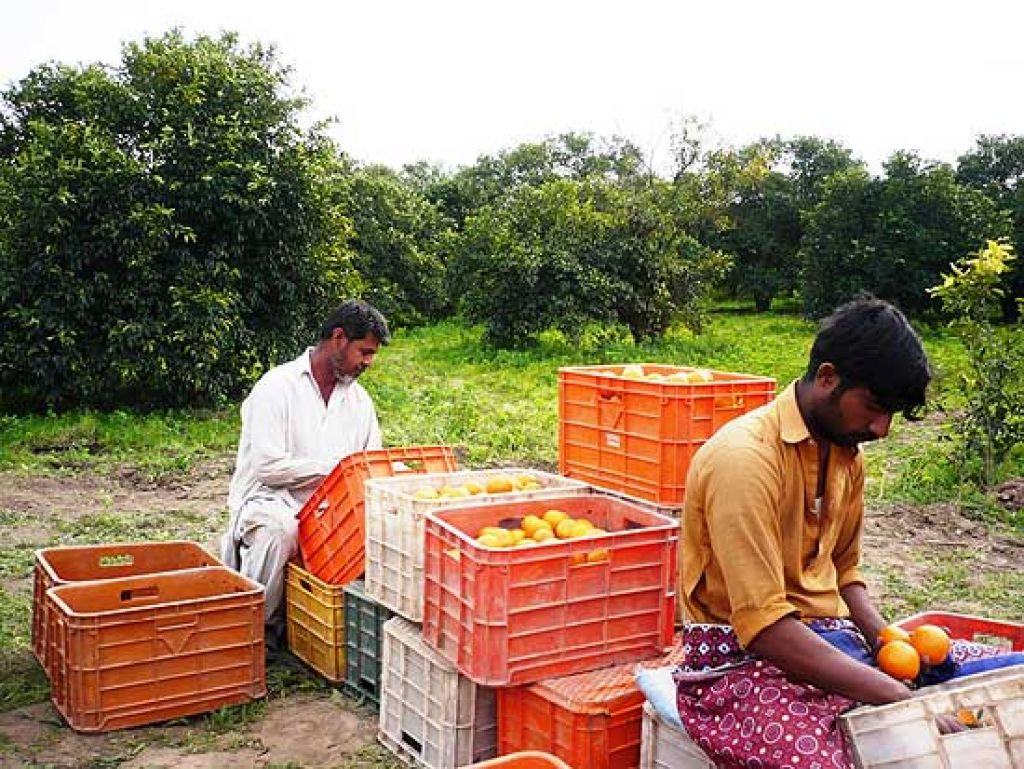 image_2026-01-26_09-21-10