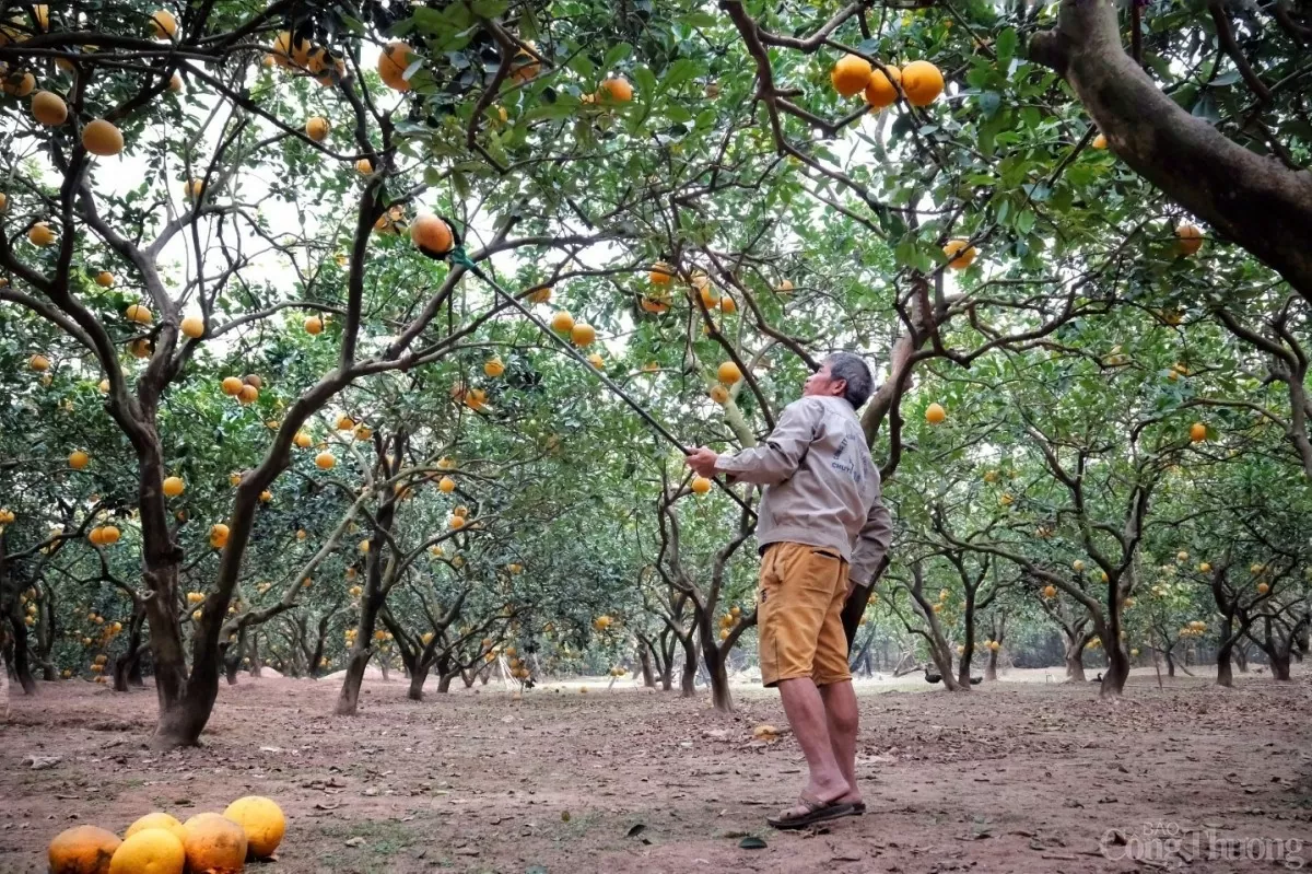 image_2026-01-26_13-25-15