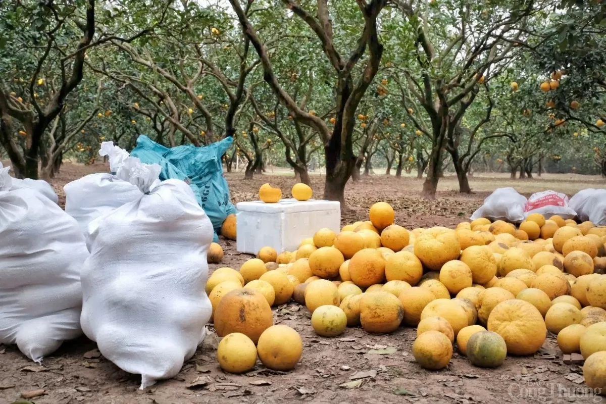 image_2026-01-26_13-25-41