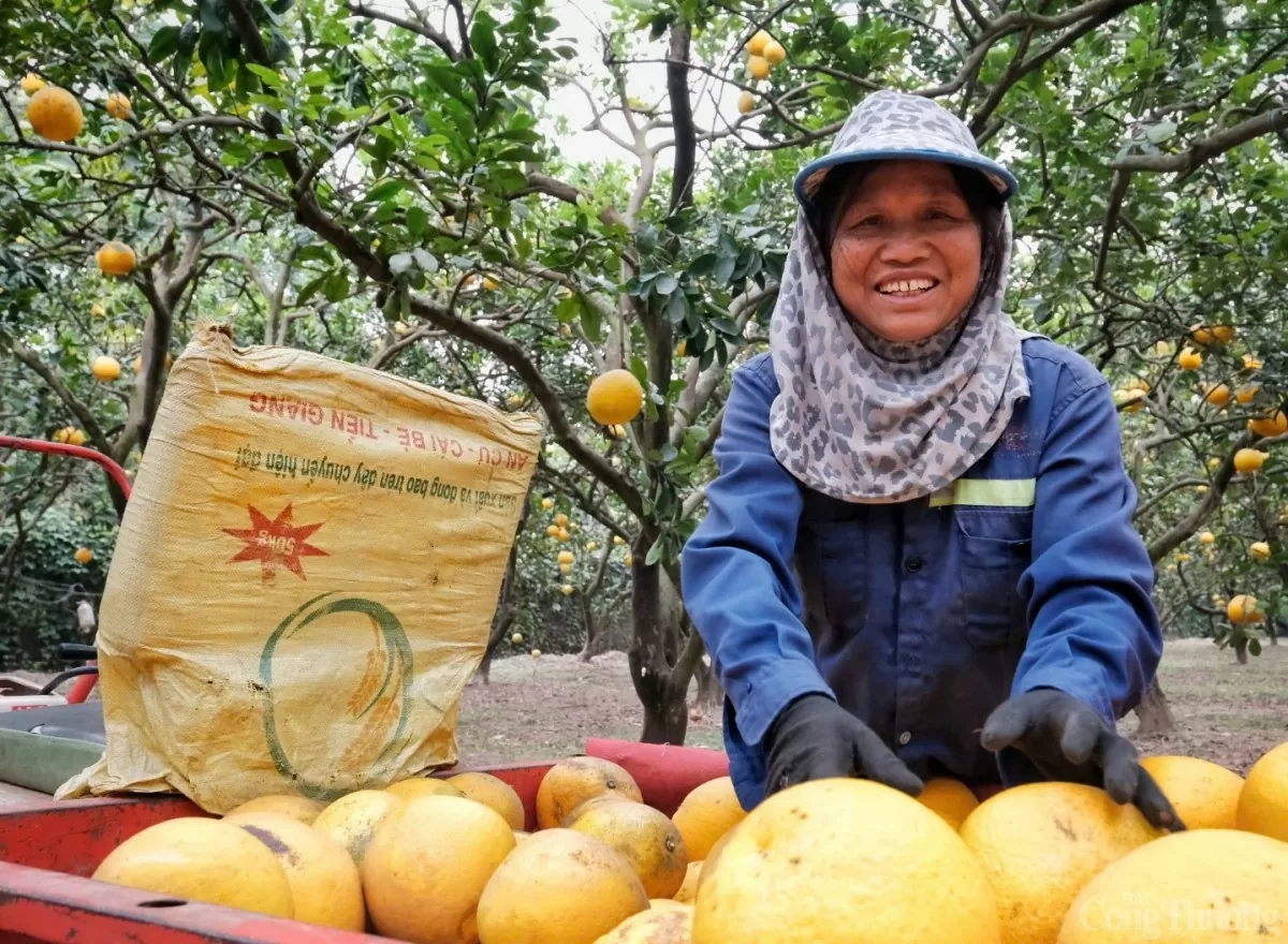 image_2026-01-26_13-25-50