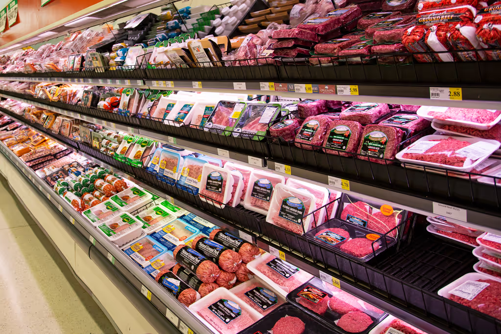 image_2026-01-28_09-27-00