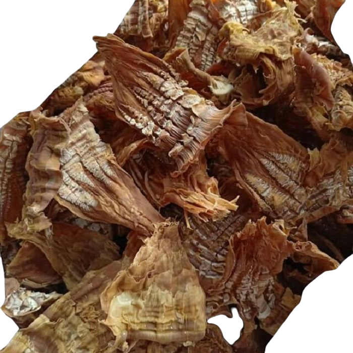 image_2026-01-28_09-48-03