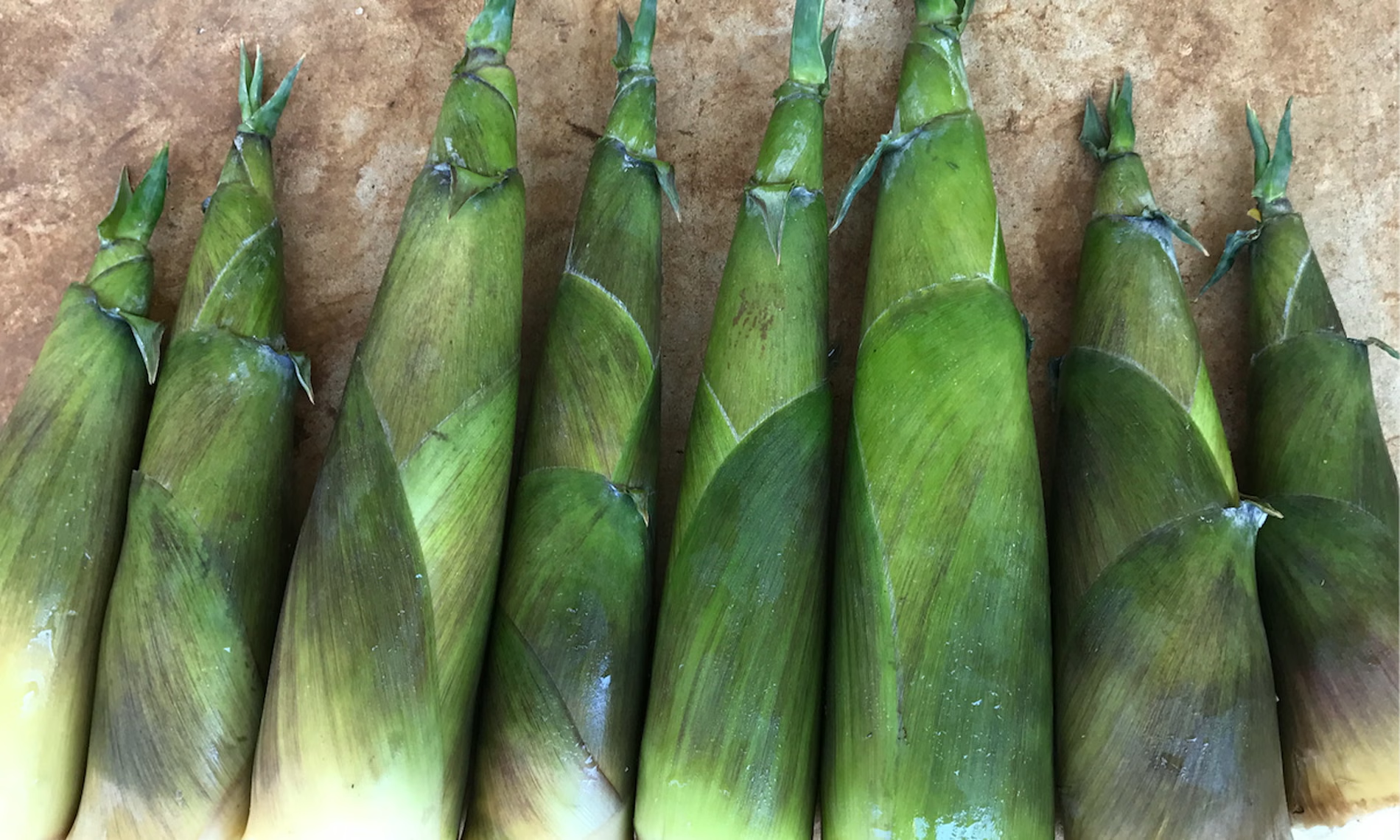 image_2026-01-28_10-01-34