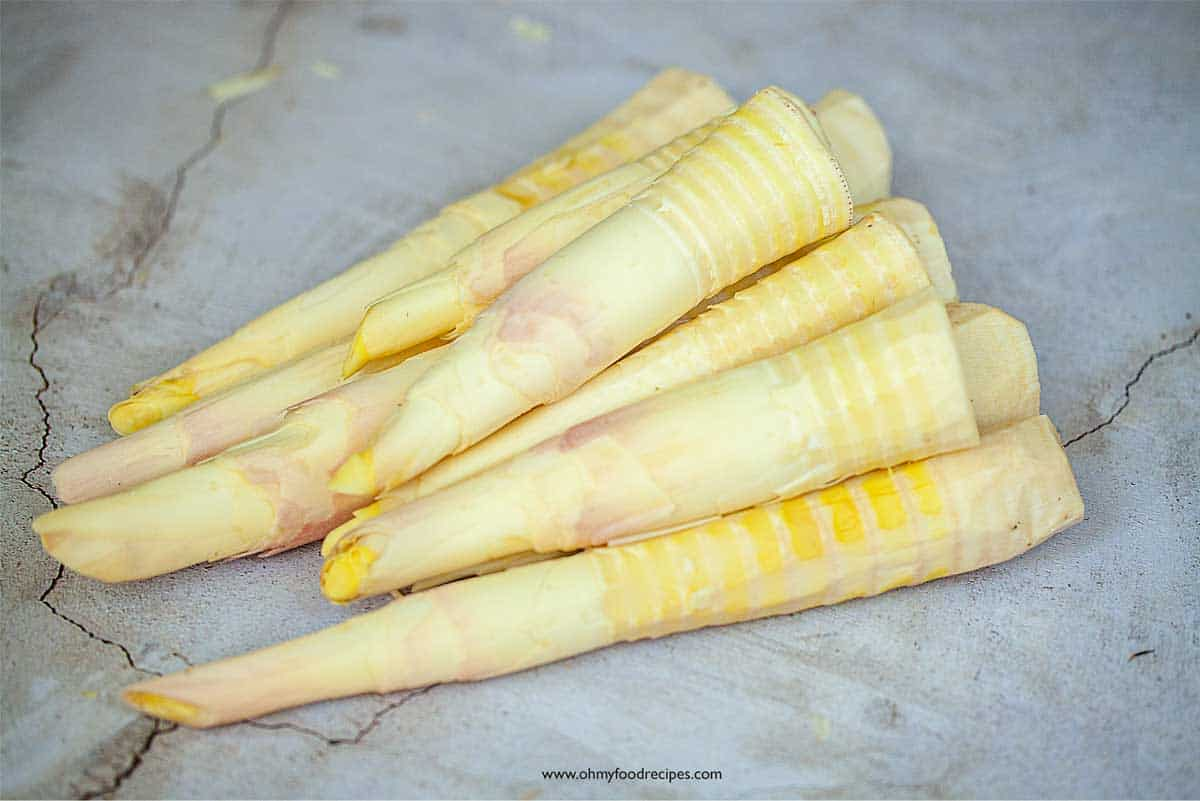 image_2026-01-28_10-03-22