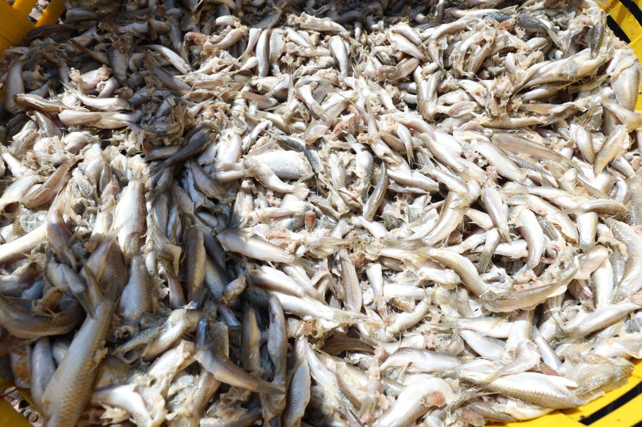 photo_2026-01-05_09-57-05 (3)