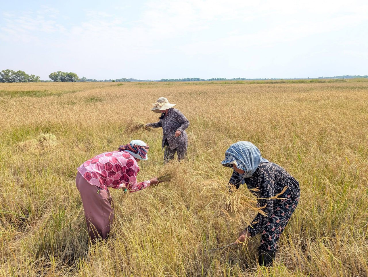 photo_2026-01-23_09-20-44 (2)
