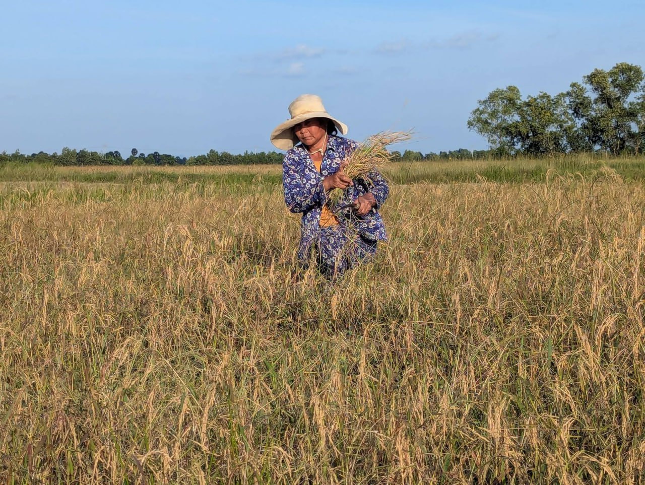 photo_2026-01-23_09-20-44