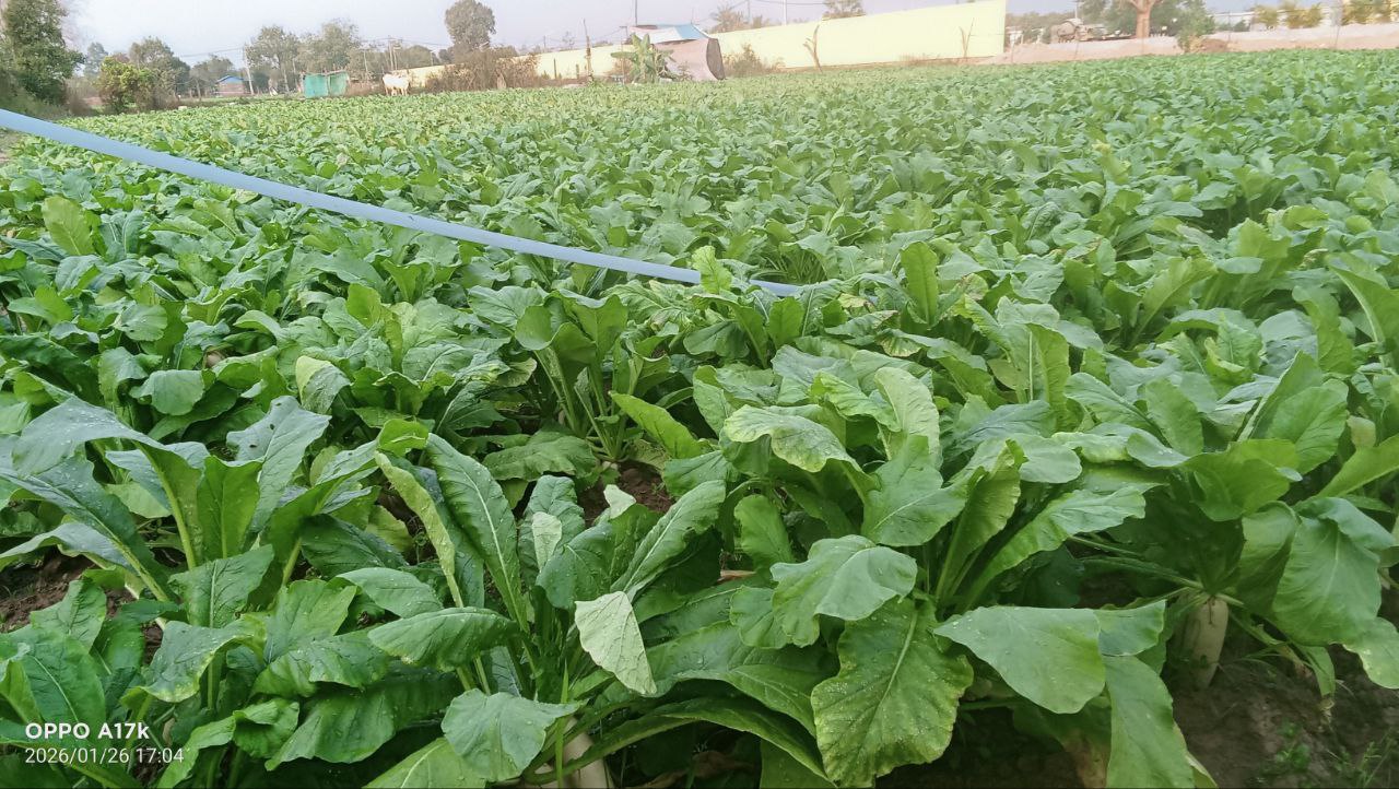 photo_2026-01-30_09-02-27 (2)