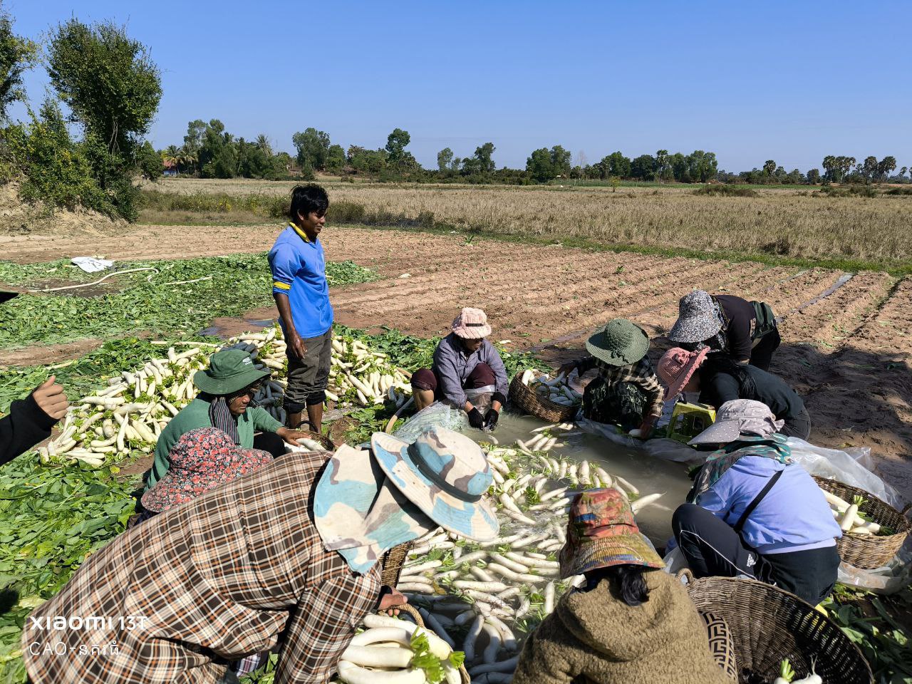 photo_2026-01-30_09-02-27 (3)