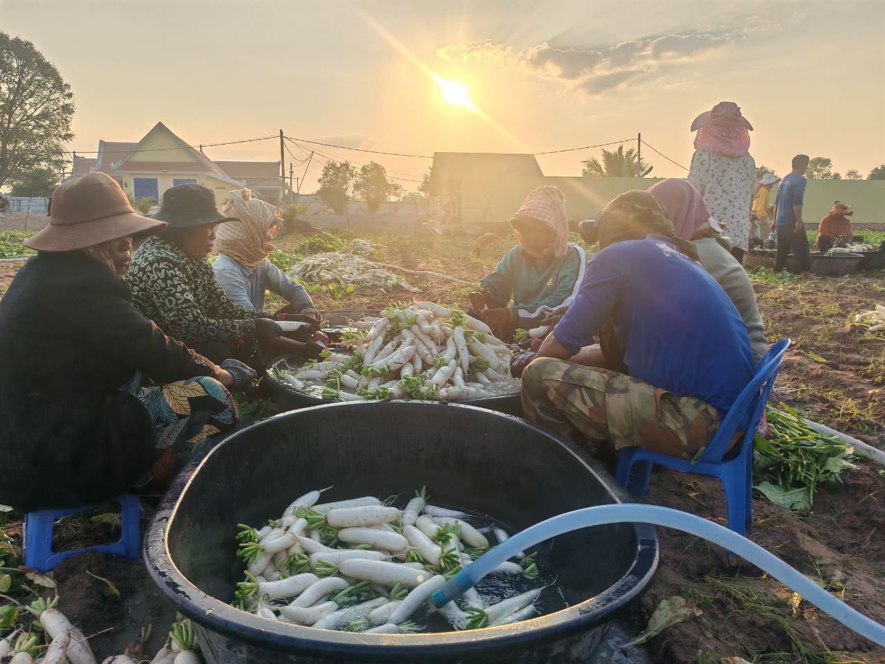 photo_2026-01-30_09-02-27