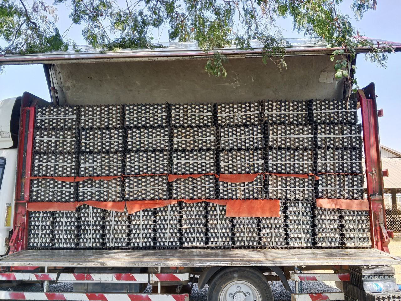 622155118_3011930319197214_6025281470287813748_n