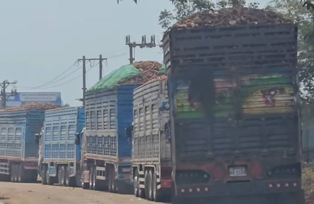 624883290_122144186186963458_3115217610340284127_n