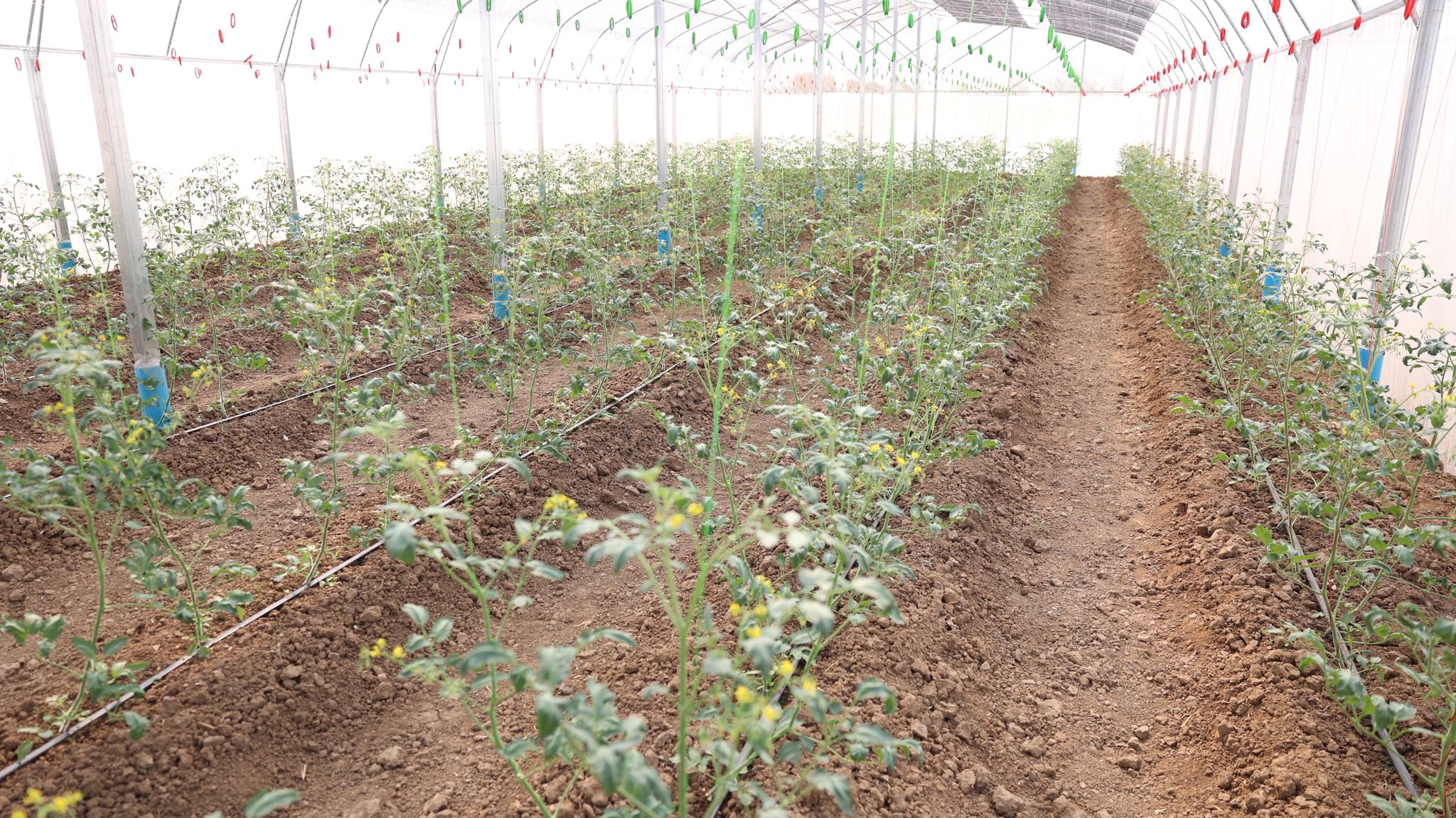 640060839_1369346188568999_4788614341747706578_n