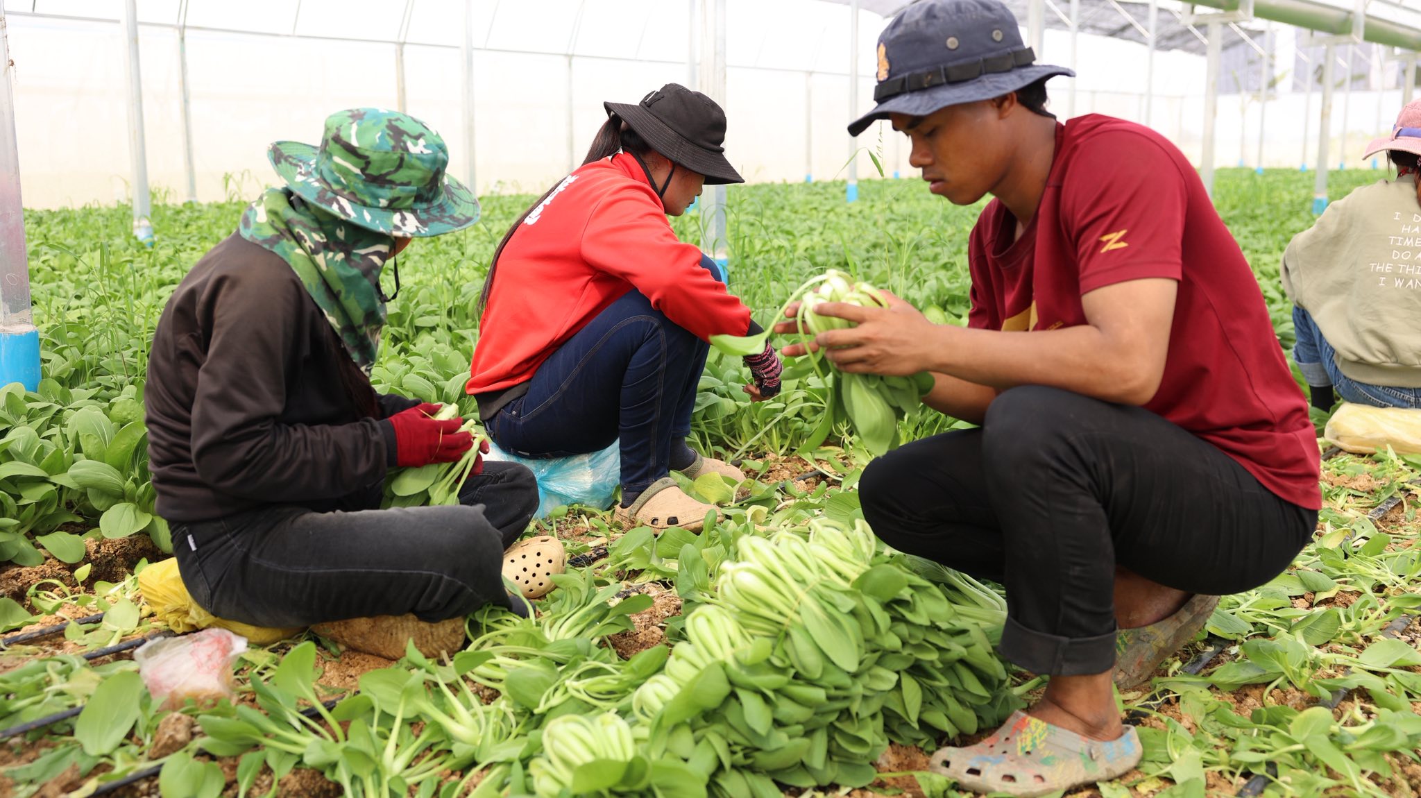 640190018_1369346158569002_703533123155347064_n