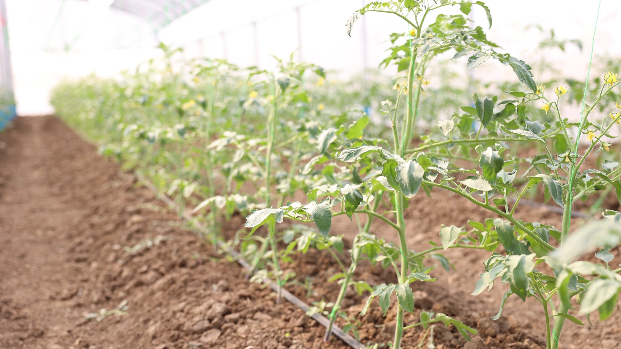 641399969_1369346265235658_21502865818685582_n