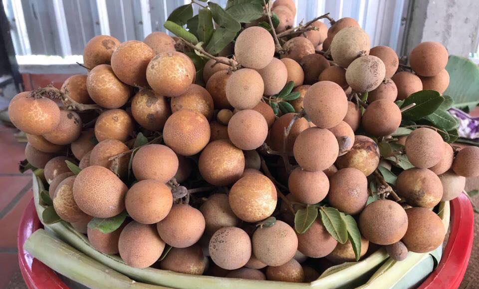 90522058_551758955445168_727816834333540352_n