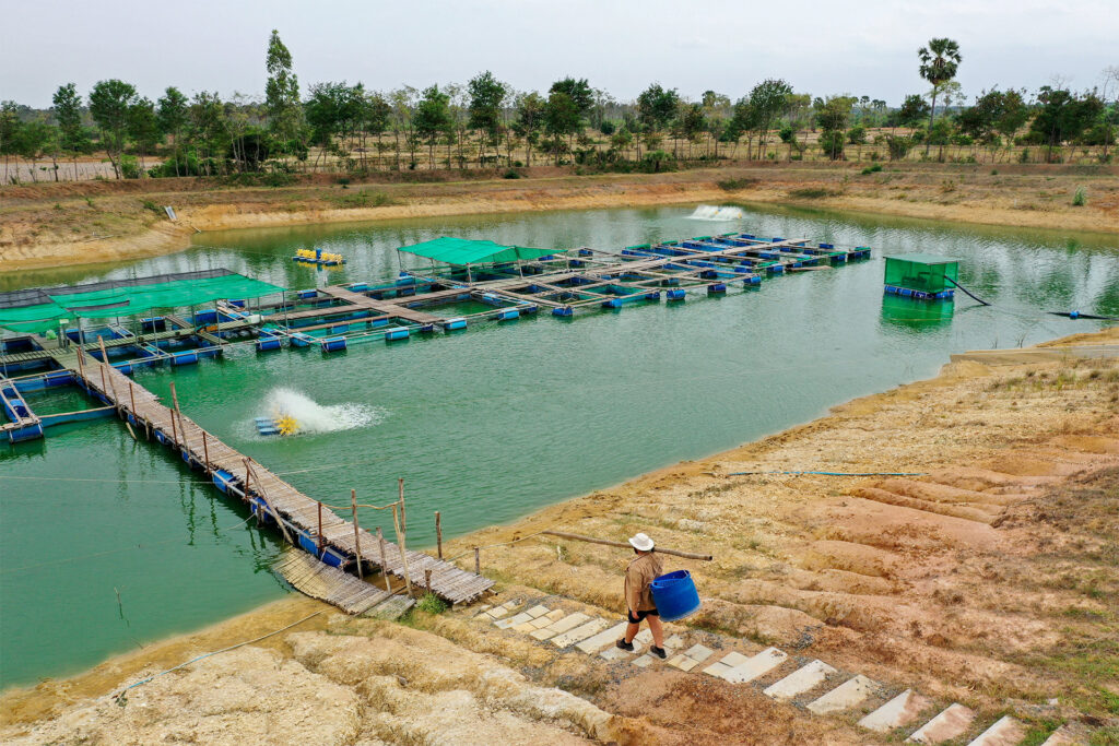 Fischzucht-Landwirtschaft-Charity-1024x683