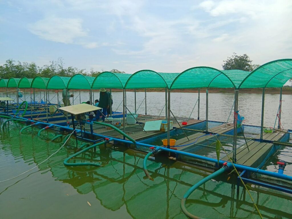 KimlySnakeheadHatcheryRaceways06.2023-1024x768