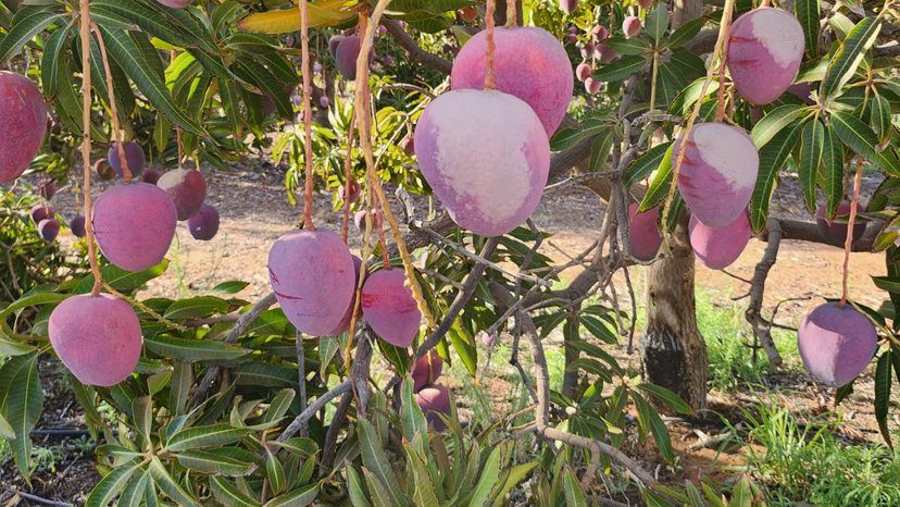 image_2026-02-02_09-56-51