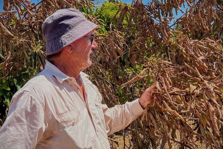 image_2026-02-02_10-01-00