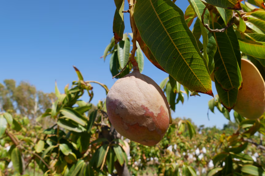 image_2026-02-02_10-01-44