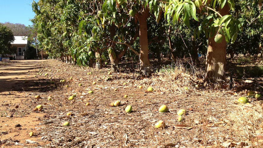 image_2026-02-02_10-03-15