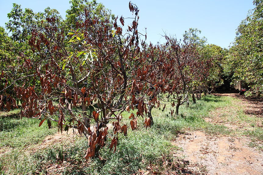 image_2026-02-02_10-14-17