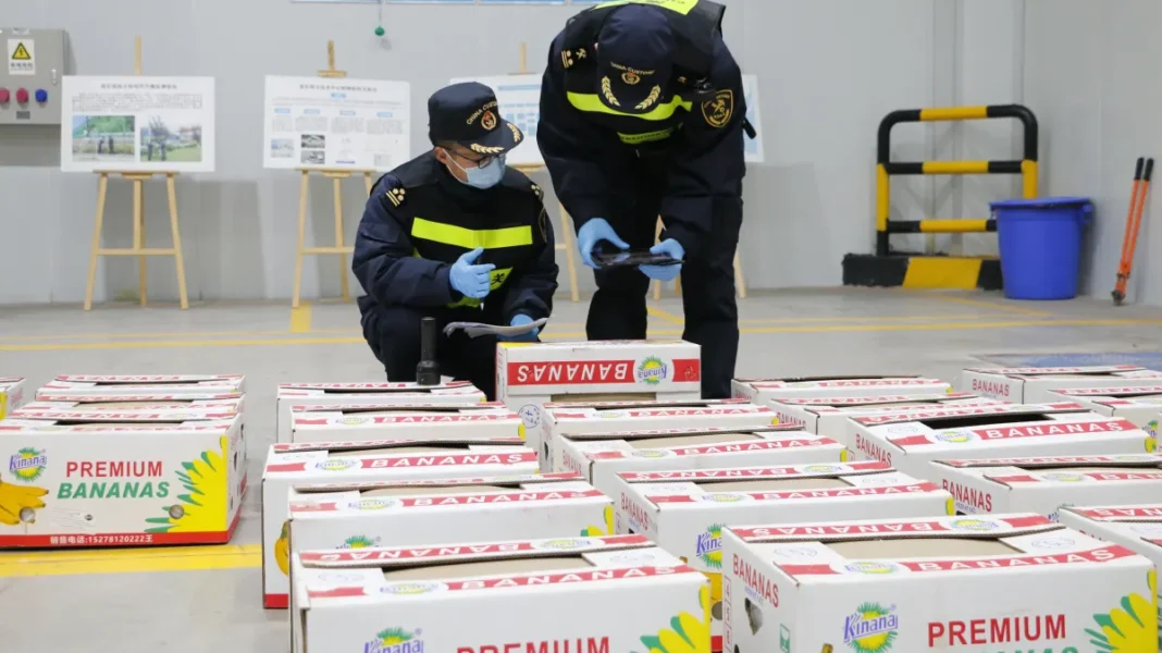 image_2026-02-04_09-49-55