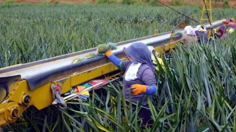 image_2026-02-10_13-18-37